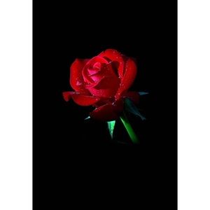 Meet your Posher, Jasmin